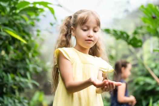 two little girls with butterflies in a greenhouse