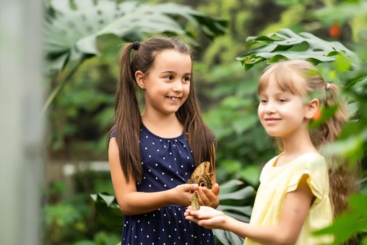 Two little sisters holding a butterfly in their hands. Children exploring nature. Family leisure with kids at summer.