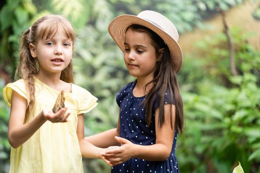 Two little sisters holding a butterfly in their hands. Children exploring nature. Family leisure with kids at summer.