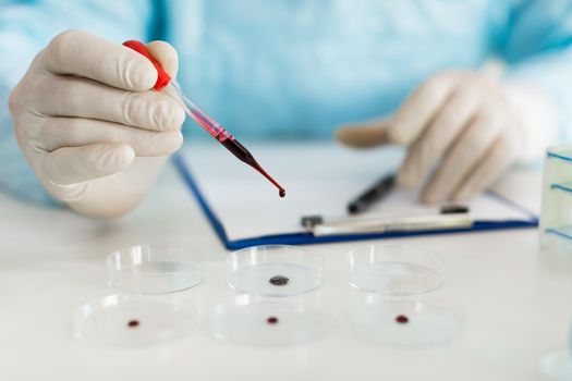 Close up view of a researcher's hands in a laboratory drips a blood sample into a Petri dish. Focus on the dropper. Flu research and vaccine creation.