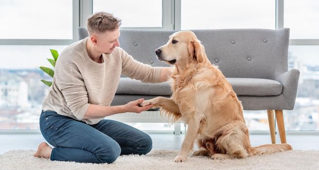 Man sitting on the floor holding paw of golden retriever dog in his hand. Owner with cute doggy in the light sunny room