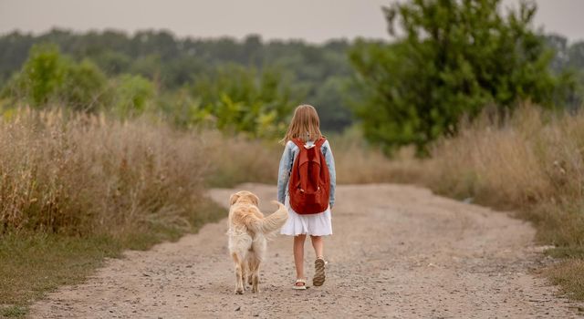 School girl with backpack and golden retriever dog walking in the field. Preteen child kid with doggy pet at nature portrait from back