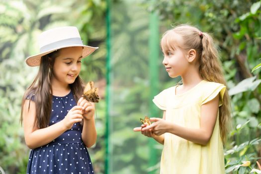 Two little sisters holding a butterfly in their hands. Children exploring nature. Family leisure with kids at summer.