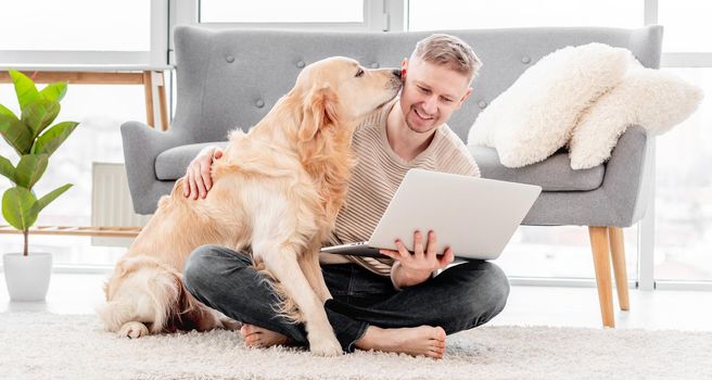 Golden retriever dog sniffs man owner holding laptop. Online communication with friends