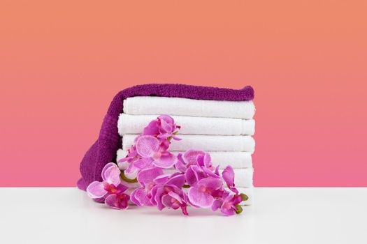 Beautiful pink flowers and white towels on pink background, front view