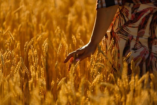 country, nature, summer holidays, agriculture and people concept - close up of young woman hand touching spikelets in cereal field