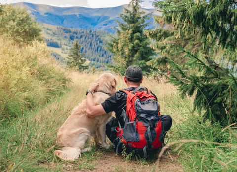 Man sitting backwards on mountain trekking trail next to golden retriever dog