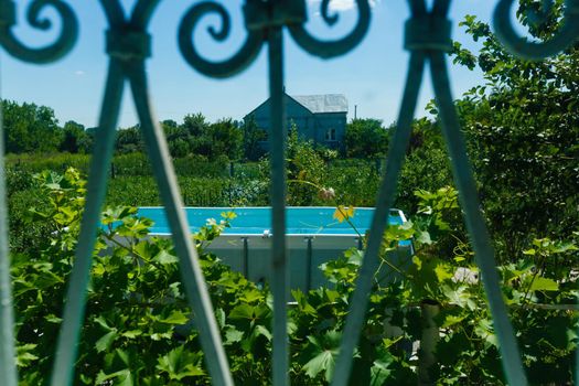 frame pool in the garden of a private house, summer