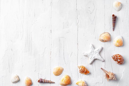 White rough wooden background with sea shells, copy space