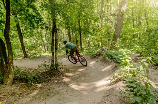 Rear view of cyclist riding bike along forest road