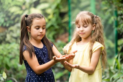 two little girls with butterflies in a greenhouse