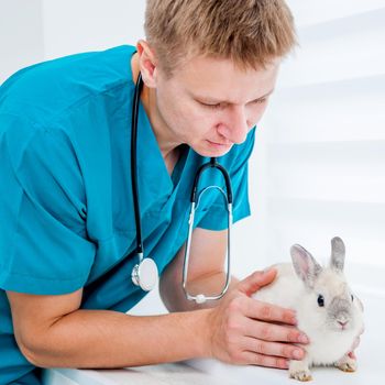 doctor veterenarii in the green uniform with a rabbit