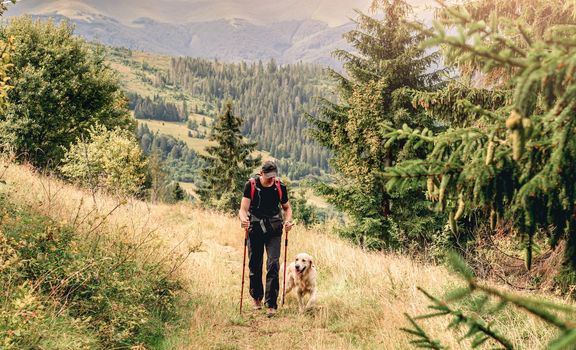 Hiker with golden retriever dog walking along mounatain path