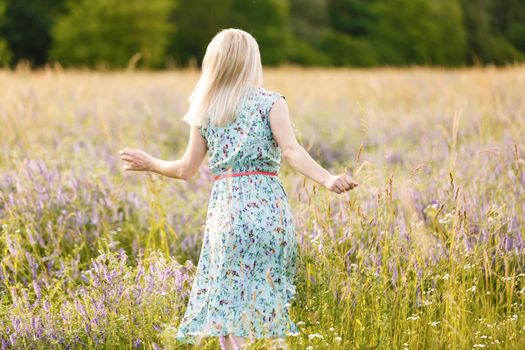 beautiful girl in a summer field