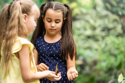 two little girls with butterflies in a greenhouse