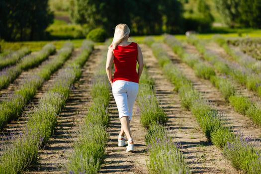 Beautiful girl on the lavender field