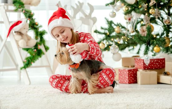 Child girl petting dog wearing Santa hat at home in Christmas time. Female kid with doggy pet in New Year time