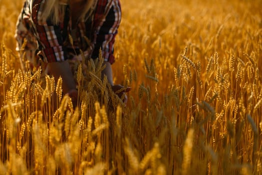 country, nature, summer holidays, agriculture and people concept - close up of young woman hand touching spikelets in cereal field