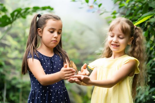 Two little sisters holding a butterfly in their hands. Children exploring nature. Family leisure with kids at summer.