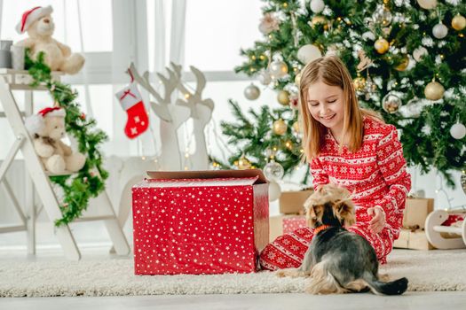 Child girl unpacks Christmas red gift box at home with cute dog. Kid celebrating New Year with presents and looking at doggy pet