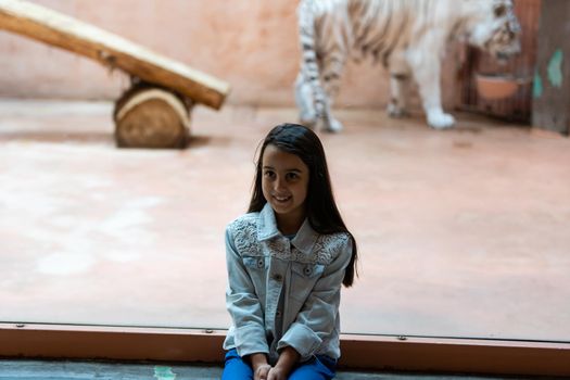 Little Girl Watching Through the Glass at White Lion in Zoo. Activity Learning for Kid.