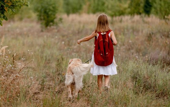Little girl with backpack walking with golden retriever dog in the field in summer day. Cute child kid with doggy pet on meadow