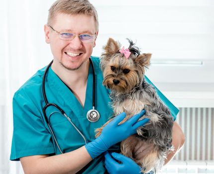 Portrait of smiling veterinarian in glasses holding Yorkshire Terrier dog on hands and looking at camera. Veterinary clinic