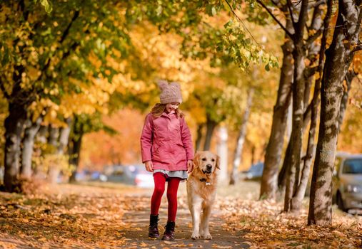 Preteen girl kid with golden retriever dog walking at autumn park together. Beautiful portrait of child and pet doggy outdoors at nature