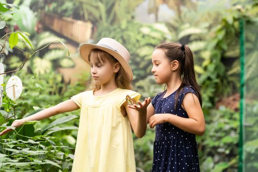 two little girls with butterflies in a greenhouse