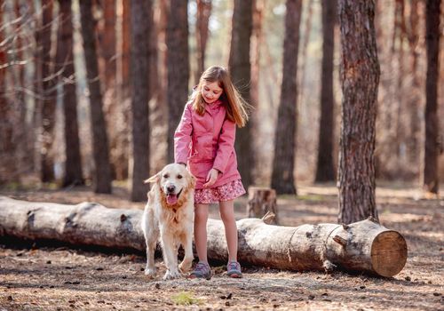 Little cute girl and golden retriever dog during spring walk in the wood