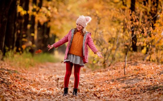 Preteen girl kid looking at fallen yellow leaves at autumn park. Beautiful portrait of child outdoors at nature