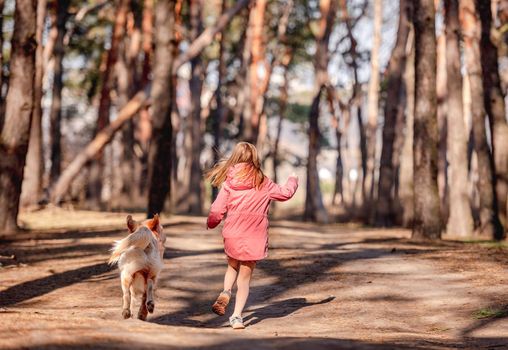 Little girl running with golden retriever dog in the wood in sunny spring day. View from back