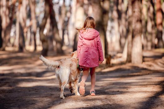 Little girl wearing pink coat walking with golden retriever dog in the wood. Back view