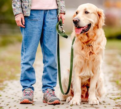 Closeup portrait of golden retriever dog sitting on the nature during walk with little girl