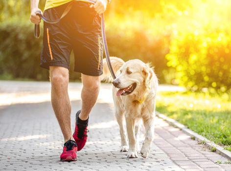 Man running across bridge with golden retriever during training in park