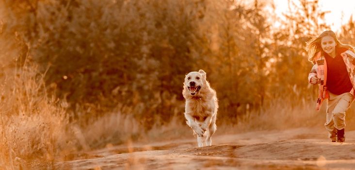 Little girl child with golden retriever dog running in sunset time outdoors. Kid with doggy pet labrador having fun at autumn nature together