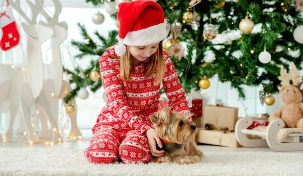 Child girl with dog sitting on floor with Christmas tree on background. Kid and pet doggy in New Year time