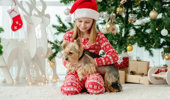 Child girl with dog sitting on floor with Christmas tree on background. Kid and pet doggy in New Year time