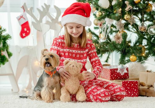 Child girl sitting with dog and teddy bear near Christmas tree. Kid wearing Santa hat celebrating New Year with doggy pet and toy