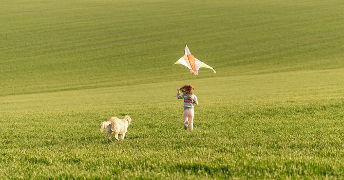 Happy little girl running with kite on green field