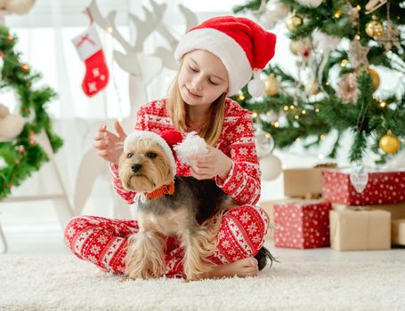 Child girl and dog wearing red Santa hats in Christmas time together. Female kid with doggy pet at home with New Year decoration
