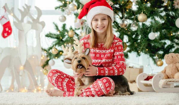 Child girl and dog with Christmas tree on background at home. Kid wearing on doggy pet decorated deer New Year ears