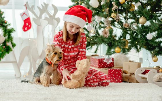 Child girl playing with dog and teddy bear near Christmas tree. Kid wearing Santa hat celebrating New Year with gifts and doggy pet