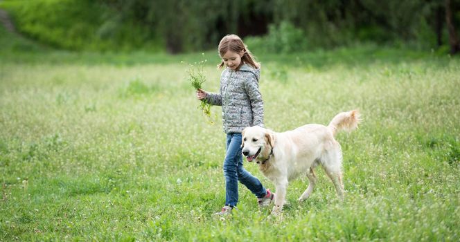 Cute little girl with flowers in hand walking adorable dog on blooming field