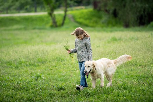 Cute little girl with flowers in hand walking adorable dog on blooming field