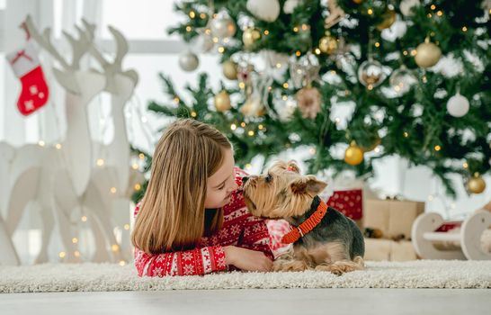 Child girl with dog lying on floor with Christmas tree on background. Kid and pet doggy enjoying New Year time at home