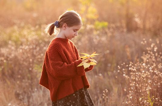 Little girl holding branch of yellow autumn leaves standing sideways on sunny nature background