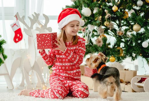 Child girl unpacks New Year gift boxes with dog york terrier at home. Kid and pet doggy celebrating holidays with Christmas tree