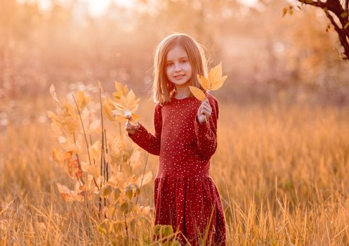 Smiling little girl with yellow autumn leaves on sunny nature background