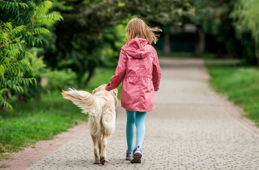 Rear view of little girl walking with dog along road in park